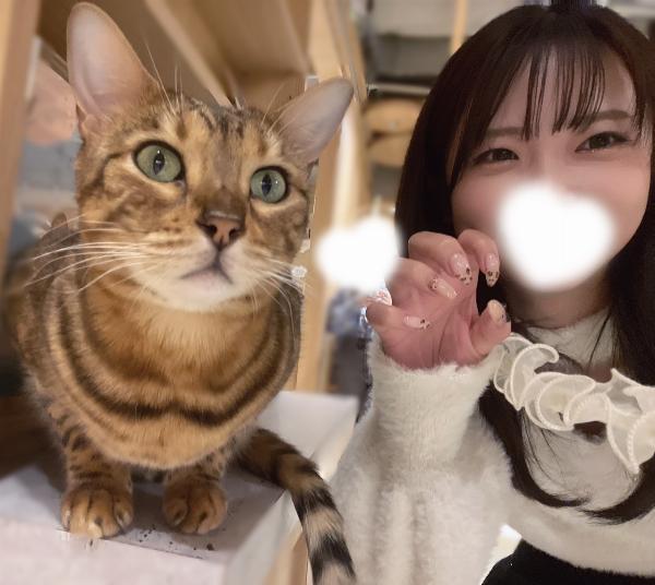 プリンセスメロン